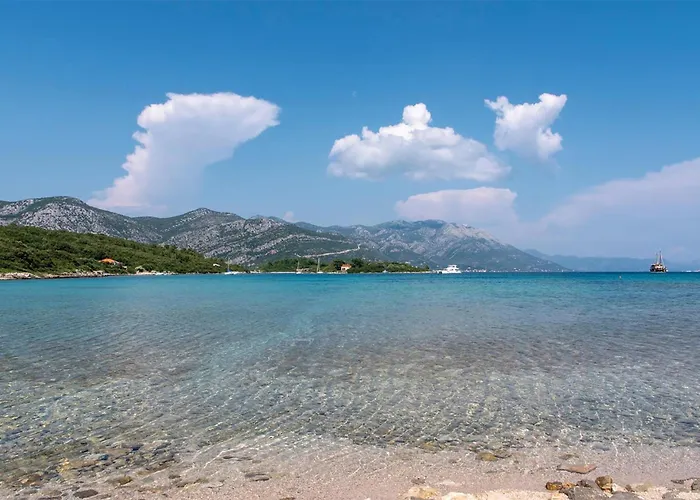 Apartment Cozy In With Wifi *